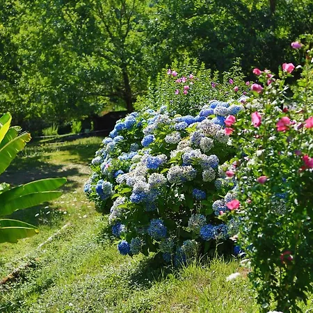 Les De Pierretoun La Bastide-Clairence