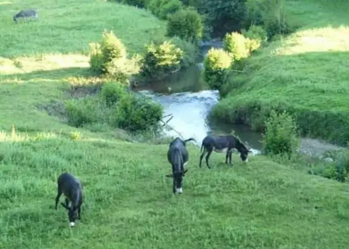 Les De Pierretoun Alpstuga *