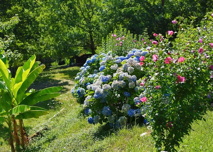 Les De Pierretoun La Bastide-Clairence